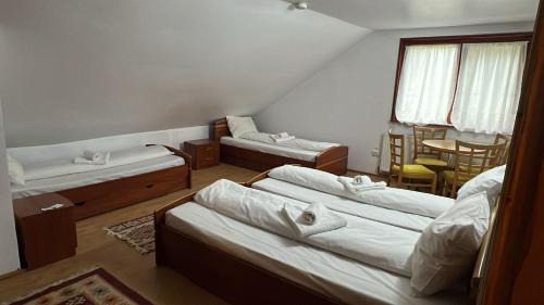 Petrila Hotel | cabana mija