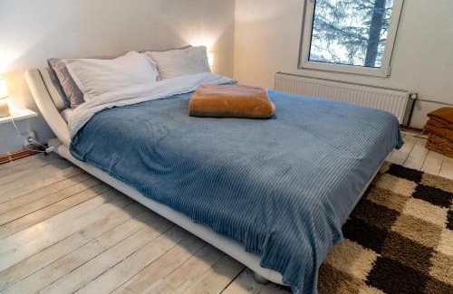 Muntele Baisorii Villa | Cabana Misha