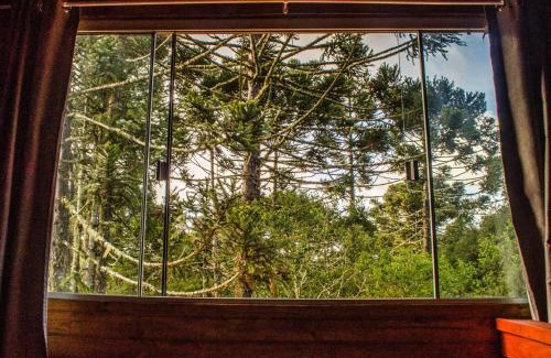 Cambara do Sul Cabina | Cabana na Floresta Rincão do Fortaleza