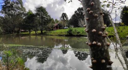 Sao Francisco de Paula Casa | Cabana no Sítio do Sossego - Gramado/São Chico - RS