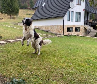 Manastirea Humorului Casa | Cabana Runcul Cailor