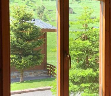 Soldeu Apartamento | CABANA SORDA - Peu del Riu 302 - Vall d'Incles - Soldeu Hut 7868