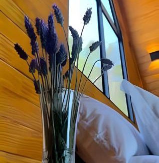 Campos do Jordao Apartamento | Cabana Tempo | 2h30 SP | Vista Única | Cama King