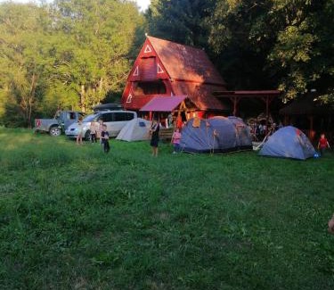 Poiana Vadului Casa | Cabana trei paltini