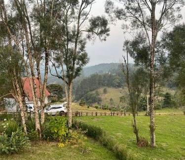 Sao Pedro de Alcantara Cabina | Cabana Trinca Ferro