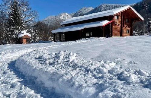 Rasnov Casa | Cabana Ursu’ Zburator
