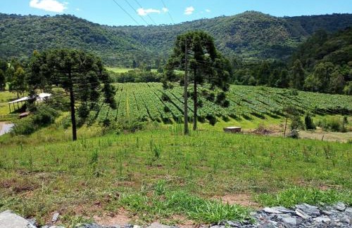 Urubici Casa | Cabana Uva Niágara