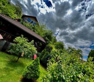 Poiana Marului Casa | Cabana Vânătorilor