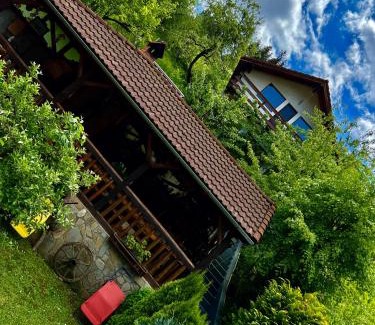 Poiana Marului Casa | Cabana Vânătorilor