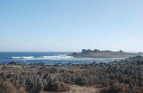 Punta de Choros Apartamento | Cabanas Las Hualas