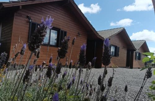 Cambara do Sul Cabina | Cabanas Ninho dos Pássaros
