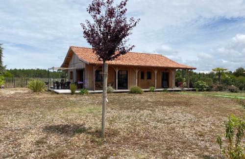 Vensac Casa | Cabane Alizée, Vensac Océan, Montalivet