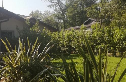 Plage d'Argeles Casa | Cabane chic et romantique SEMILLON près de Bordeaux