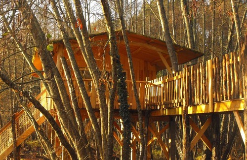 Allons Otro | Cabane des cerfs