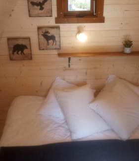 Champfromier Otro | Cabane en bois POD 2