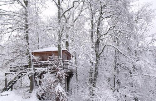 Ferdrupt Chalet De Esquí | Cabane perchée avec terrasse, sauna et BBQ à Ferdrupt - FR-1-589-770