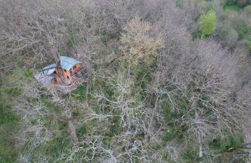 L'Isle-Bouzon Chalet De Esquí | Cabane perchée Les Cabanes de Fallot - sauna bain-froid piscine naturelle