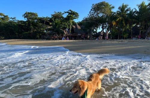Cabarete Hotel | Cabarete Ecolodge Encuentro Surf Beach Kite in Perla Marina by BTCG Crypto