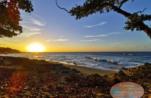 Cabarete Hotel | Cabarete Ecolodge Encuentro Surf Beach Kite in Perla Marina by BTCG Crypto