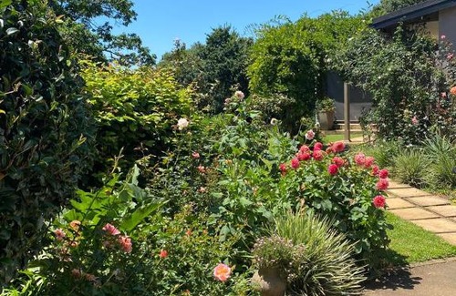 Hilton Cama Y Desayuno | Cabbage Tree Cottage