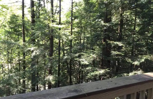 Waterbury Apartamento | Cabin 1 Austrian Chalet