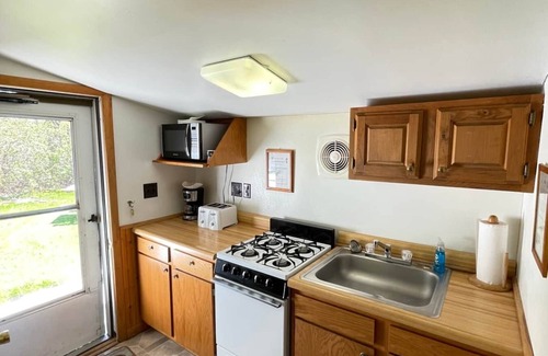 Brier Hill Cabina | Cabin 1 w/ *DOCK ACCESS* and Spacious Yard