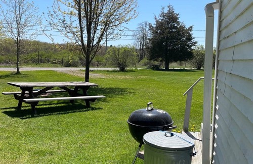 Brier Hill Cabina | Cabin 1 w/ *DOCK ACCESS* and Spacious Yard