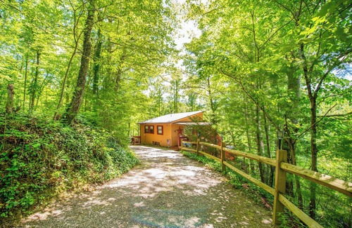 Almond Cabaña | Secluded Cabin w/ Deck, Hot Tub & Lake Access!