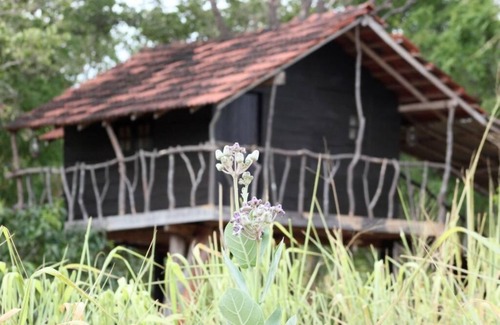 Habarana Cabina | Cabin 2 Twin Beds - Eagles Wing's Guest House