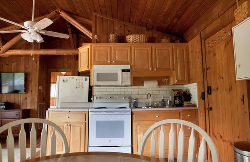 Huddleston Cabina | Cabaña # 3 Smith Mtn Lake. Vistas / Frente al agua / Mascotas gratis / No wake cove / Dock