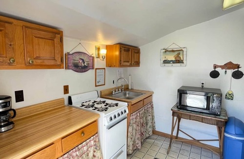 Brier Hill Cabina | Cabin 4 w/ Private Dock on Black Lake *AMAZING VIEW*