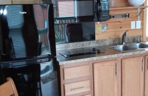 Dickerson Run Cabina | Cabin 5 - Beautiful spacious cabin w/loft and lots of windows! Breathtaking view with facing the river.