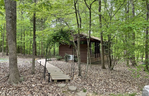 Waxhaw Cabina | Cabin amongst the trees
