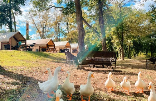Prairie Lea Cabina | Cabin at Son's Blue River Camp! Stay here & enjoy the gorgeous San Marcos River!
