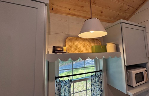 Naples Cabina | Cabin at The Dock Of The Bay -Lakefront w/Mooring