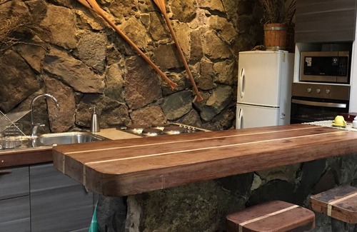 Lo Barnechea Casa | Cabaña entre Bosque y Río