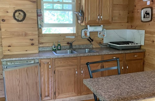 Swain Cabina | Cabin Creek Hide-Away (Letchworth) ¡Cascadas en un bosque privado de 100 acres!