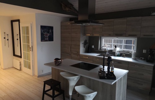 Vinje Cabina | Cabin for 10 person, playground and bikes inkludet