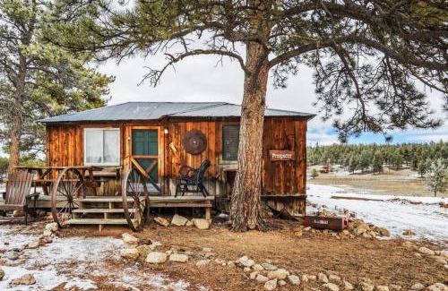 Lake George Chalet De Esquí | Cabin in Colorado NTL Forest