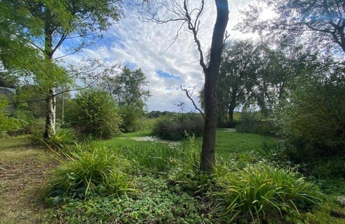 Romsey Casa | Cabaña en New Forest con bosque privado