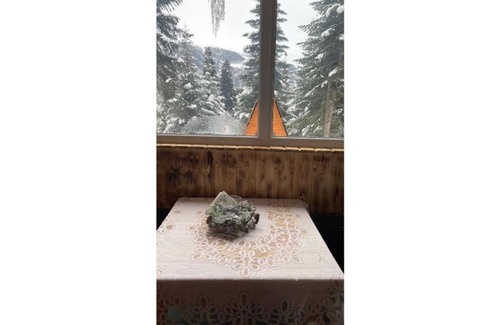 Bagvdanari Cabaña | Cabin in the forest, near to ski lift, provide breakfast and dinner