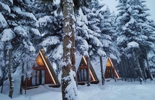 Bagvdanari Cabaña | Cabin in the forest, near to ski lift, provide breakfast and dinner