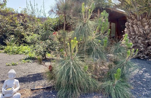 San Bartolome Cabina | Cabaña en plena naturaleza