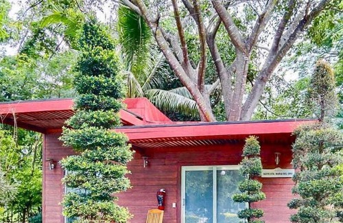 La Laguna Cabina | Cabin in the Middle of the Forest and Lake - Pool