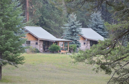 Bigfork Cabina | Cabin in the Woods #3