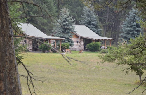 Bigfork Cabina | Cabin in the Woods #3