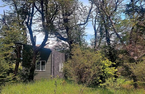 Coyhaique Cabina | cabaña en el bosque