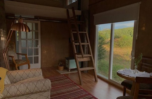 Coyhaique Cabina | cabaña en el bosque