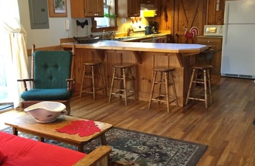 Brevard Cabina | Cabin in Willoughby Wood near Brevard NC