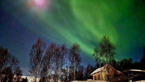 Botnhamn Casa | Cabin magic on Senja, atmosphere like a fairytale